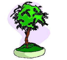 bonsai-boom-bewegende-animatie-0027