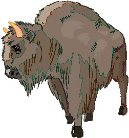 buffel-bewegende-animatie-0021