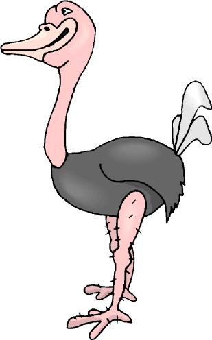 struisvogel-bewegende-animatie-0031