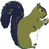 eekhoorn-bewegende-animatie-0062