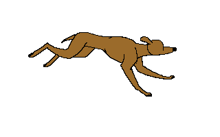 hond-bewegende-animatie-0124