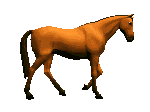 paard-bewegende-animatie-0056