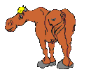 paard-bewegende-animatie-0057
