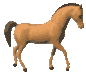 paard-bewegende-animatie-0120