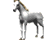 paard-bewegende-animatie-0191