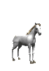 paard-bewegende-animatie-0269