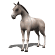 paard-bewegende-animatie-0280