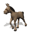 paard-bewegende-animatie-0281
