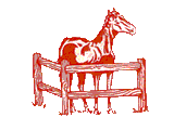 paard-bewegende-animatie-0294