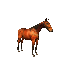 paard-bewegende-animatie-0301