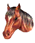 paard-bewegende-animatie-0316