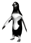 penguin-bewegende-animatie-0176