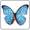 vlinder-bewegende-animatie-0229