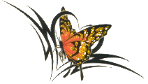 vlinder-bewegende-animatie-0267