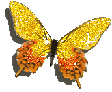 vlinder-bewegende-animatie-0284