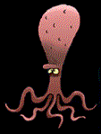 octopus-bewegende-animatie-0033