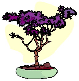 bonsai-boom-bewegende-animatie-0005