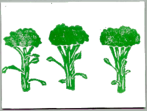 broccoli-bewegende-animatie-0017
