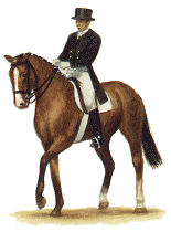 dressage-bewegende-animatie-0003