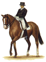 dressage-bewegende-animatie-0023