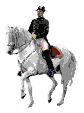 dressage-bewegende-animatie-0024