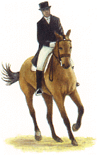 dressage-bewegende-animatie-0028