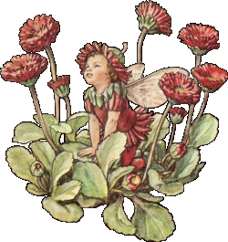 elfje-bewegende-animatie-0074