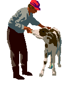 boerderij-bewegende-animatie-0111