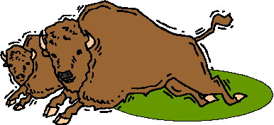 buffel-bewegende-animatie-0028