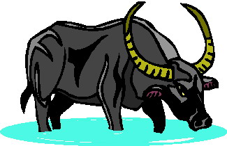 buffel-bewegende-animatie-0051