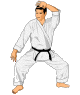 judo-bewegende-animatie-0041