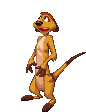 lion-king-bewegende-animatie-0029