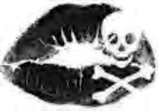 lippenstift-bewegende-animatie-0041