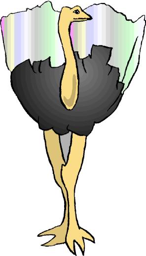 struisvogel-bewegende-animatie-0023