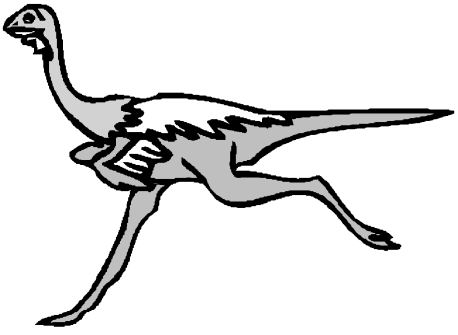 struisvogel-bewegende-animatie-0027