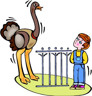 struisvogel-bewegende-animatie-0044