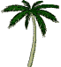 palmboom-bewegende-animatie-0021