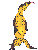 reptiel-bewegende-animatie-0063