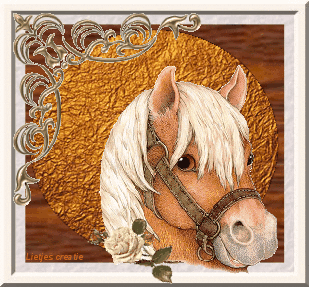 knipoog-bewegende-animatie-0015