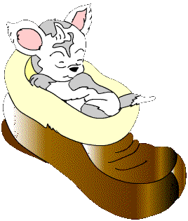 knipoog-bewegende-animatie-0022