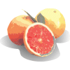 grapefruit-bewegende-animatie-0002