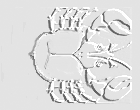 sterrenbeeld-bewegende-animatie-0206
