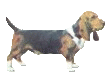 basset-hond-bewegende-animatie-0021
