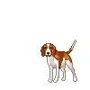 beagle-bewegende-animatie-0006