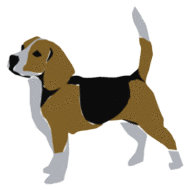beagle-bewegende-animatie-0008