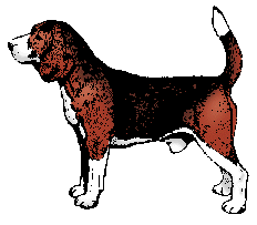 beagle-bewegende-animatie-0016