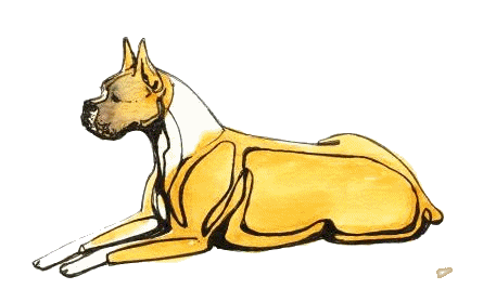 boxer-bewegende-animatie-0029