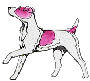 jack-russel-terrier-bewegende-animatie-0004