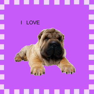 shar-pei-bewegende-animatie-0005