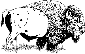 bizon-bewegende-animatie-0007